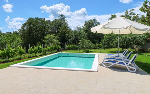 Anteo: Piscina, Proprietà, Immobiliare, Casa, Tempo Libero, Erba, Casa, Costruzione, Estate, Shade