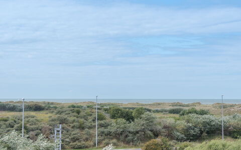 De Haan 930: Cielo, Vegetazione, Shrubland, Paesaggio Naturale, Ambiente Naturale, Lotto, Comunita 'Impianto, Plain, Ecoregione, Steppa