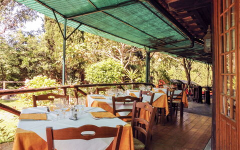 Albenga 605: Tavolo, Mobilia, Proprietà, Sedia, Shade, Albero, Tavola, Pianta, Mobili Da Esterno, Tavolo Esterno