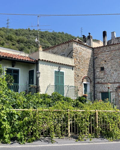 Casa del Pernambuco (Ptl205)