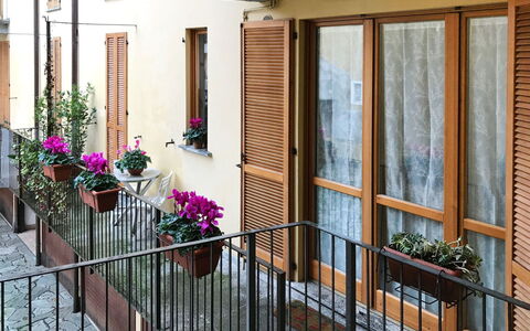 Sabina: Fiore, Pianta, Costruzione, Proprietà, Vaso Di Fiori, Finestra, Pianta Della Casa, Porta, Legna
