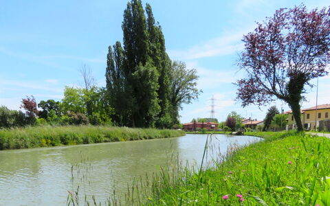 Cà Riviera Bosco Piccolo: Paesaggio Naturale, Ambiente Naturale, Albero, Banca, Vegetazione, Fiume, Waterway, Riserva Naturale, Erba, Canale