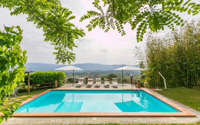 Reggello 867: Acqua, Pianta, Giorno, Proprietà, Piscina, Cielo, Verde, Natura, Azzurro, Shade