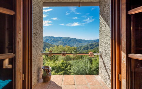 Kiwii: Finestra, Camera, Cielo, Montagna, Casa, Interior Design, Albero, Casa, Costruzione, Illuminazione Diurna