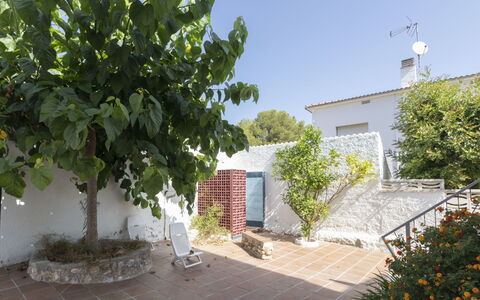 Marie: Proprietà, Immobiliare, Casa, Costruzione, Albero, Zona Residenziale, Casa, Villetta, Pianta, Cortile