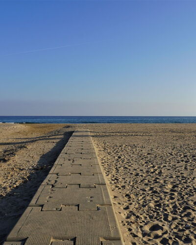 Torremar Alex