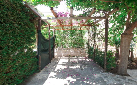 Villa Irene: Proprietà, Botanica, Albero, Costruzione, Passerella, Giardino, Cortile, Architettura, Pianta, Backyard