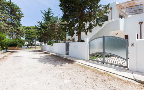 Casa Bianca: Proprietà, Immobiliare, Costruzione, Casa, Architettura, Zona Residenziale, Casa, Albero, Appartamento, Lotto