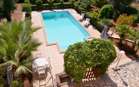 Villa Lidia Con Piscina: Piscina, Proprietà, Immobiliare, Casa, Costruzione, Villa, Ricorrere, Erba, Albero, Vacanza