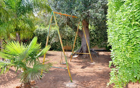 Villa Lidia Con Piscina: Albero, Vegetazione, Pianta, Botanica, Impianto Terrestre, Biome, Woody Impianto, Palma, Graminacee, Arecales