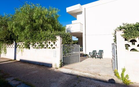 Villa Brigida: Pianta, Costruzione, Cielo, Shade, Manto Stradale, Albero, Lotto, Erba, Parete, Zona Residenziale