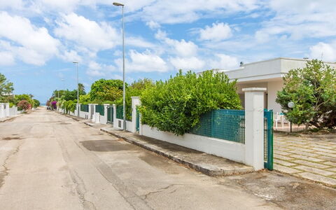 Villa Nettuno: Street Luce, Proprietà, Zona Residenziale, Cielo, Strada, Illuminazione, Immobiliare, Quartiere, Albero, Parete