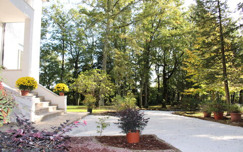 Villa La Casa Bianca: Proprietà, Casa, Albero, Casa, Immobiliare, Cortile, Zona Residenziale, Landscaping, Giardino, Paesaggio