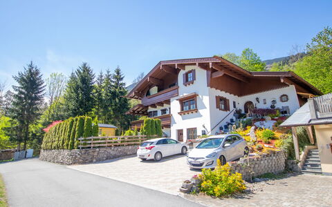 Viktoria: Pianta, Cielo, Auto, Ruota, Veicolo, Costruzione, Albero, Asfalto, Casa