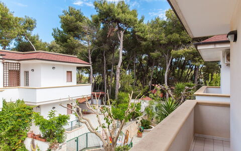 Villa Victory: Proprietà, Immobiliare, Casa, Costruzione, Casa, Zona Residenziale, Architettura, Appartamento, Albero, Camera