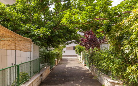 Villa Victory: Albero, Passerella, Botanica, Pianta, Foglia, Woody Impianto, Casa, Strada, Vicolo, Architettura