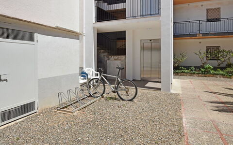 Helen: Bicicletta, Ruota, Pianta, Bicycle Wheel, Costruzione, Finestra, Bicicletta Forcella