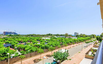 Oropesa del Mar 620