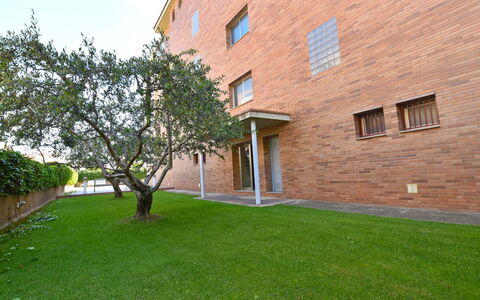 Medisol: Proprietà, Casa, Erba, Prato, Cortile, Immobiliare, Costruzione, Backyard, Casa, Zona Residenziale