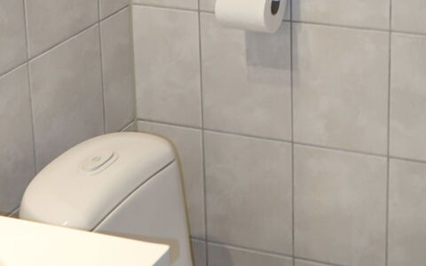 Skeisvegen: Idraulico Fixture, Toilet Seat, Proprietà, Gabinetto, Bagno, Lavandino Del Bagno, Cabinetry, Viola, Interior Design