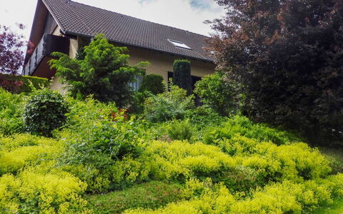 Waldvogt: Vegetazione, Paesaggio Naturale, Giardino, Proprietà, Albero, Casa, Arbusto, Giardino Botanico, Botanica, Pianta