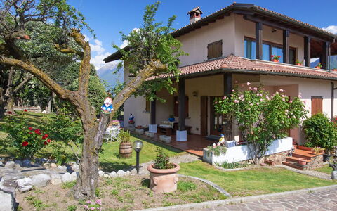 Carmen (Dma168): Pianta, Cielo, Costruzione, Proprietà, Finestra, Vaso Di Fiori, Albero, Casa, Pianta Della Casa, Urban Design