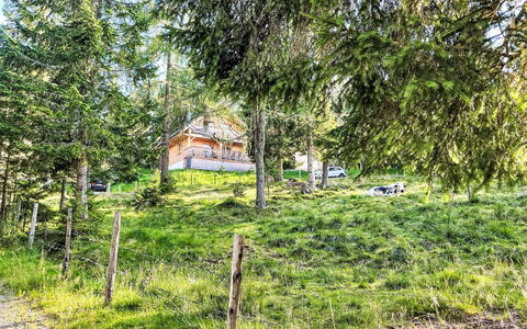 Almhaus Galisch: Albero, Casa, Casa, Villetta, Lotto, Area Rurale, Larice, Hill Station, Pendenza