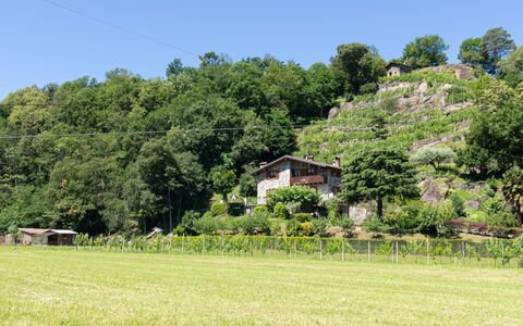 Fuentes: Paesaggio Naturale, Vegetazione, Pascolo, Pascolo, Proprietà, Erba, Ambiente Naturale, Lotto, Azienda Agricola, Prato