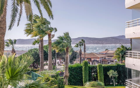 Le Mexico: Cielo, Pianta, Proprietà, Acqua, Azzurro, Albero, Arecales, Vegetazione, Biome, Tempo Libero