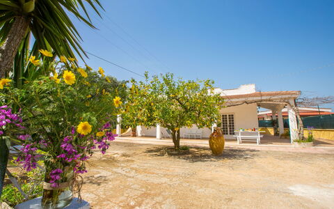 Villa Mediterranea: Proprietà, Fiore, Giallo, Pianta, Immobiliare, Albero, Casa, Vacanza, Costruzione, Area Rurale