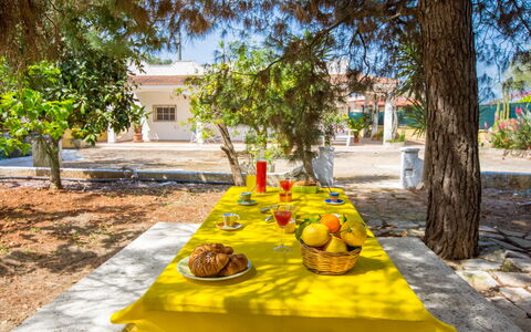Villa Mediterranea: Proprietà, Giallo, Albero, Tavolo, Pasto, Vacanza, Tempo Libero, Ricreazione, Paesaggio, Pianta