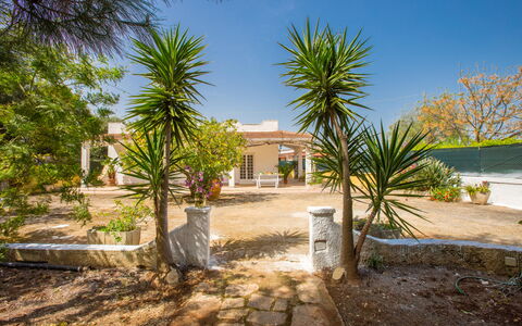 Villa Mediterranea: Proprietà, Casa, Casa, Immobiliare, Albero, Estate, Costruzione, Zona Residenziale, Palma, Arecales