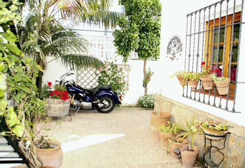 Apartamento Caracola: Pianta, Ruota, Proprietà, Vaso Di Fiori, Automotive Pneumatico, Veicolo, Botanica, Architettura