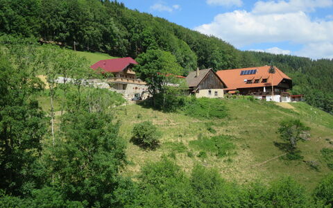 Schmalzenhof: Paesino Di Montagna, Natura, Vegetazione, Hill Station, Paesaggio Naturale, Geografia Montane, Proprietà, Collina, Area Rurale, Montagna