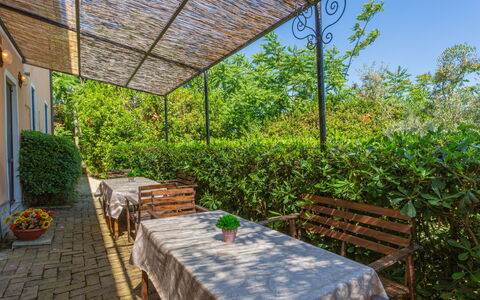 Fonte del Ceppo 2: Pianta, Tavolo, Mobilia, Proprietà, Vaso Di Fiori, Sedia, Shade, Cielo, Interior Design, Architettura
