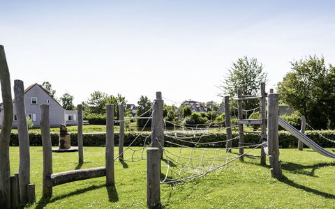 Citta Romana: Erba, Pianta, Lotto, Pascolo, Giardino, Pascolo, Area Rurale, Graminacee, Prato