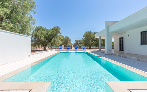 Villa Stella Cadente: Acqua, Cielo, Costruzione, Piscina, Azzurro, Albero, Shade, Rettangolo, Erba, Tempo Libero