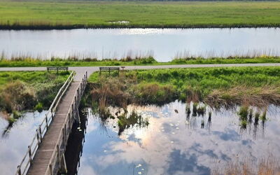 Natuurlijk de Veenhoop