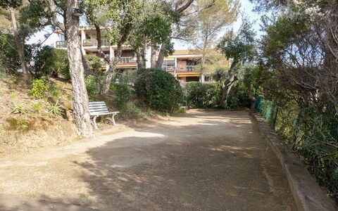 Saint Aygulf 104: Pianta, Costruzione, Albero, Ramo, Manto Stradale, Lotto, Shade, Architettura, Cielo, Casa