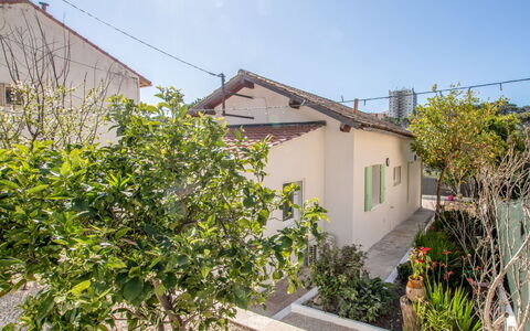 Mont des Oiseaux: Proprietà, Immobiliare, Casa, Vegetazione, Zona Residenziale, Quartiere, Albero, Pianta, Casa, Costruzione