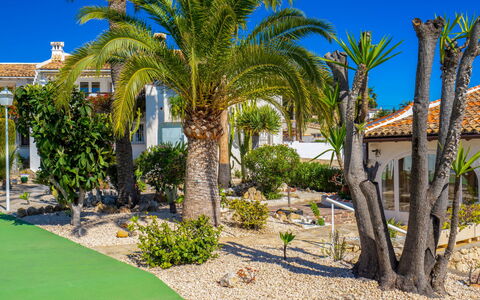 La Camarrocha: Proprietà, Albero, Immobiliare, Palma, Casa, Estate, Casa, Zona Residenziale, Blu Majorelle, Costruzione