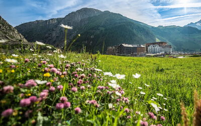 Andermatt Alpine Apartments
