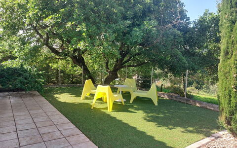 Bois D'Astros: Verde, Foglia, Erba, Arbusto, Giardino, Prato, Shade, Groundcover, Primavera, Woody Impianto