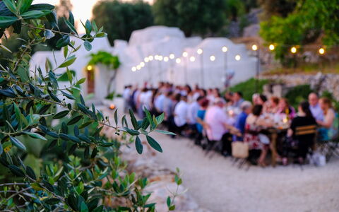 Corte dei Messapi | Sleeps 24: Pianta, Foglia, Botanica, Erba, Tempo Libero, Woody Impianto, Albero, Mattina, Estate, Fiore