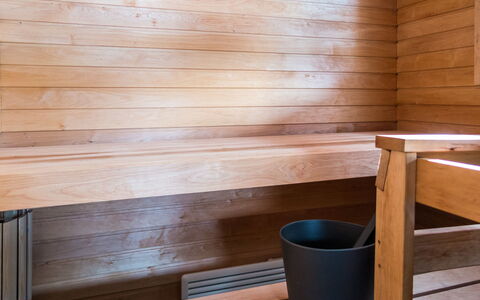 Venuskukkula: Sauna, Legna, Pavimentazione, Pavimento, Color Legno, Latifoglie, Plank, Compensato, Pavimento In Legno, Vernice