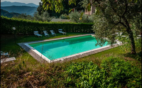 Orto Degli Olivi Proprietà
