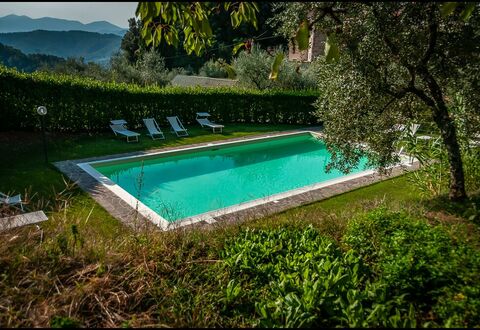 Orto Degli Olivi Proprietà: Piscina, Proprietà, Paesaggio Naturale, Erba, Acqua, Tempo Libero, Casa, Albero, Villa, Architettura