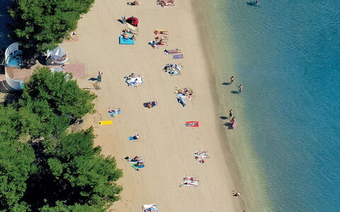 Ivanka: Spiaggia, Fotografia Aerea, Sabbia, Albero, Fotografia, Mondo, Costa, Paesaggio, Costiera E Morfologie Oceanic, Tempo Libero