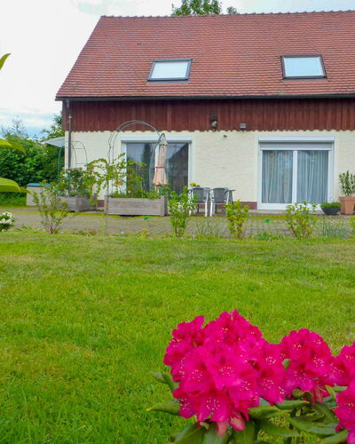 Schmetterlingsgarten