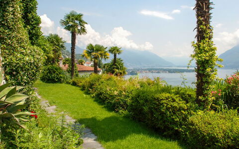 Panorama Lakeview Lago Maggiore: Vegetazione, Natura, Paesaggio Naturale, Proprietà, Giardino, Albero, Erba, Immobiliare, Cielo, Botanica